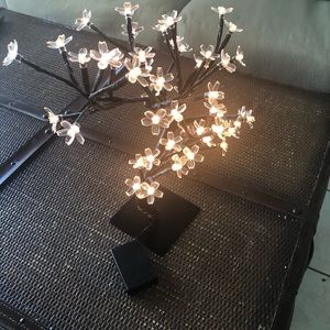 Cherry light lamp